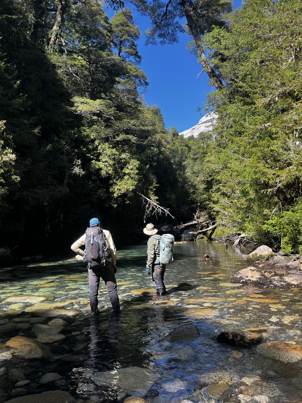 Relax & Naturaleza — Bosque